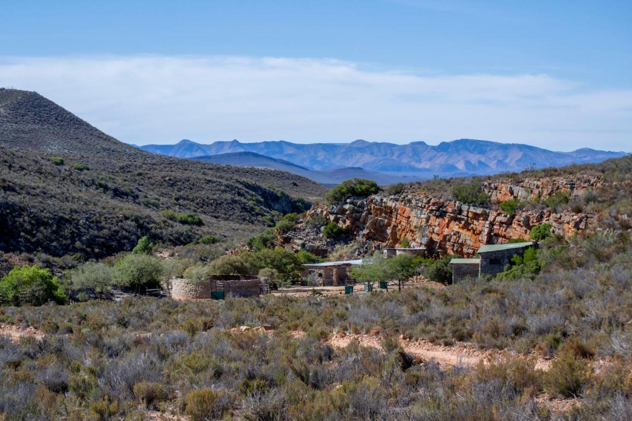 Desert Wind Private Guest And Game Farm Montagu Eksteriør bilde